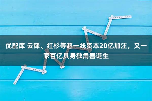 优配库 云锋、红杉等超一线资本20亿加注，又一家百亿具身独角兽诞生