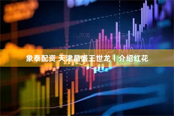 象泰配资 天津昌盛王世龙丨介绍红花