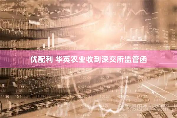 优配利 华英农业收到深交所监管函
