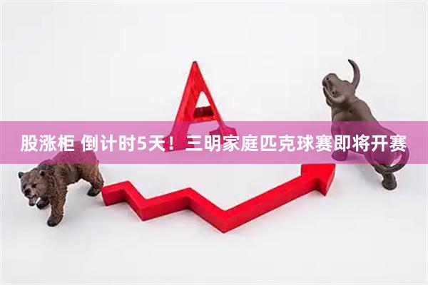 股涨柜 倒计时5天！三明家庭匹克球赛即将开赛