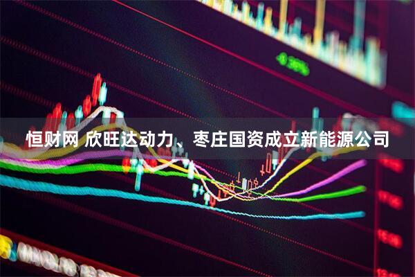 恒财网 欣旺达动力、枣庄国资成立新能源公司