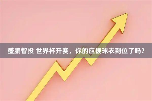 盛鹏智投 世界杯开赛，你的应援球衣到位了吗？