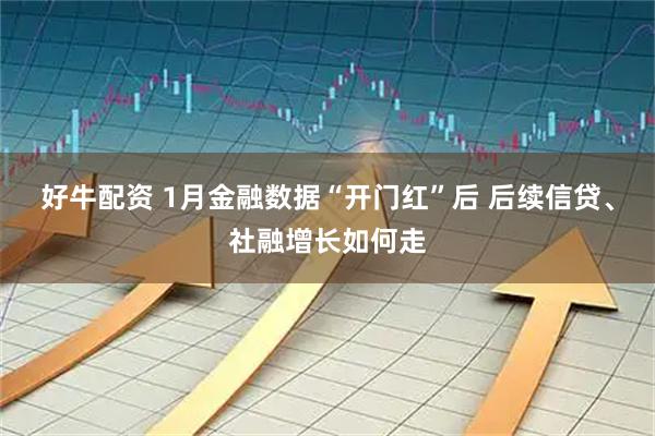 好牛配资 1月金融数据“开门红”后 后续信贷、社融增长如何走