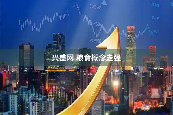 兴盛网 粮食概念走强