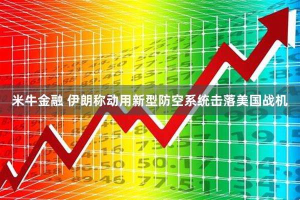 米牛金融 伊朗称动用新型防空系统击落美国战机