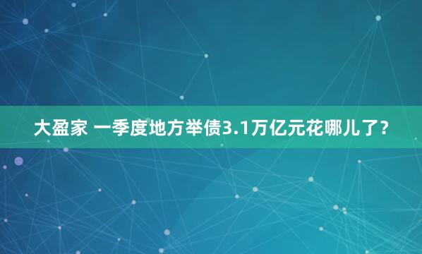 大盈家 一季度地方举债3.1万亿元花哪儿了？