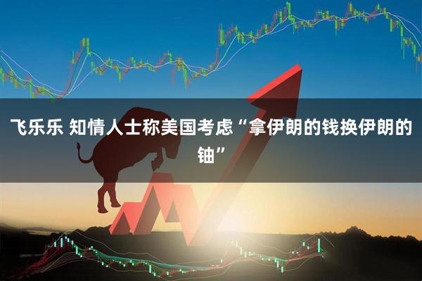 飞乐乐 知情人士称美国考虑“拿伊朗的钱换伊朗的铀”