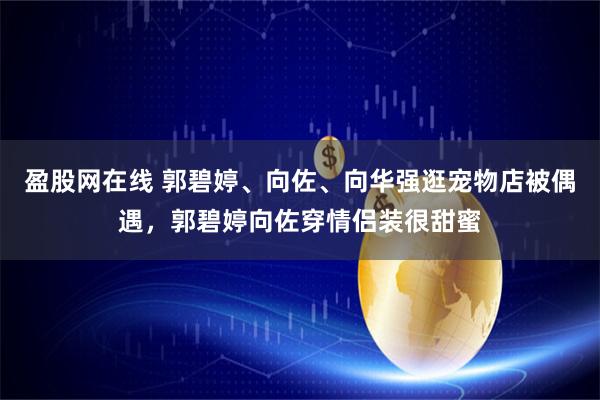 盈股网在线 郭碧婷、向佐、向华强逛宠物店被偶遇，郭碧婷向佐穿情侣装很甜蜜