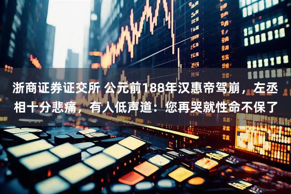 浙商证券证交所 公元前188年汉惠帝驾崩，左丞相十分悲痛，有人低声道：您再哭就性命不保了