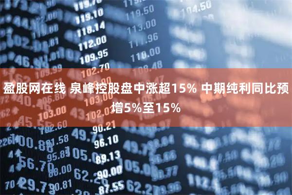 盈股网在线 泉峰控股盘中涨超15% 中期纯利同比预增5%至15%