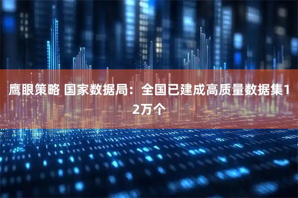 鹰眼策略 国家数据局：全国已建成高质量数据集12万个