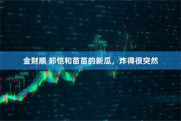 金财顺 郑恺和苗苗的新瓜，炸得很突然